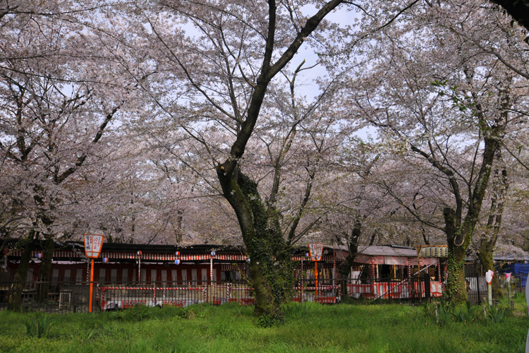 平野神社境内