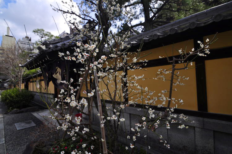 本能寺・境内