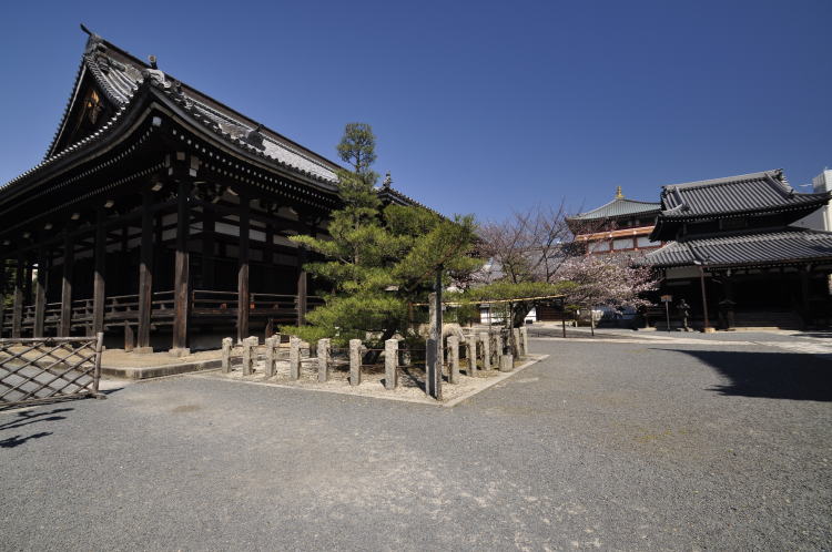 本法寺・本堂