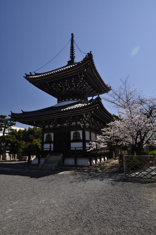 本法寺・多宝塔