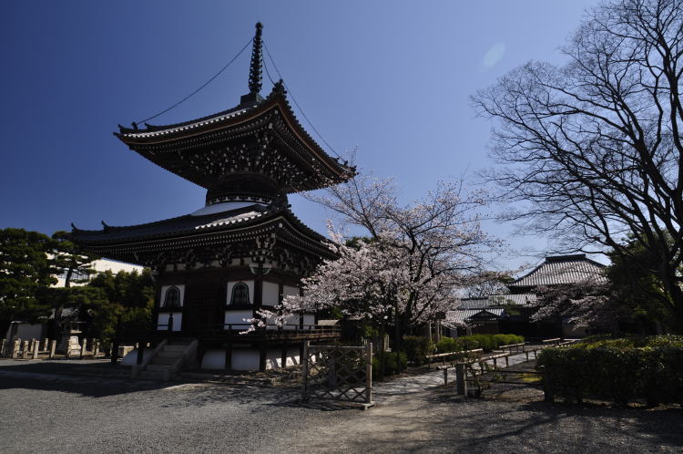 本法寺・多宝塔