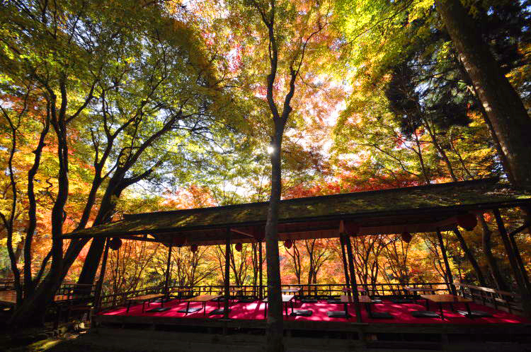 神護寺・境内紅葉