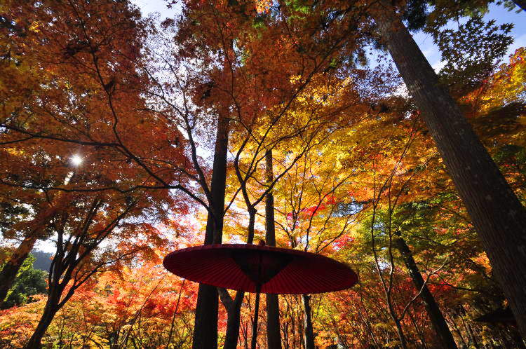 神護寺・境内紅葉