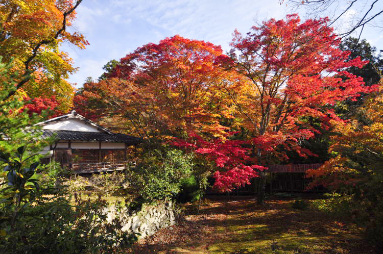 神護寺・境内紅葉