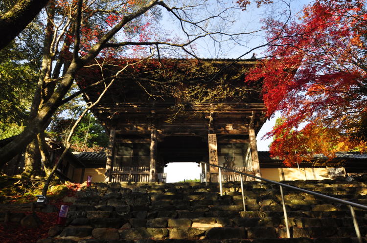 神護寺・楼門