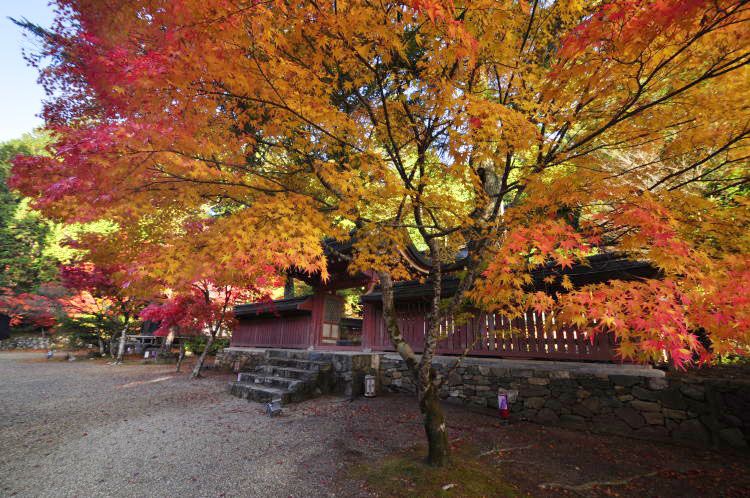 神護寺・和気公霊廊