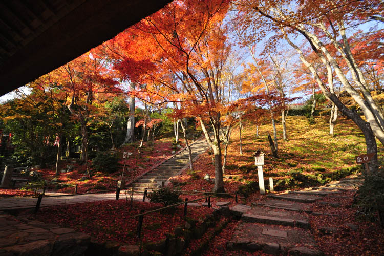 常寂光寺・境内