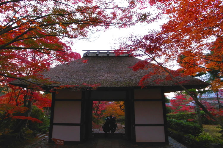 常寂光寺・境内