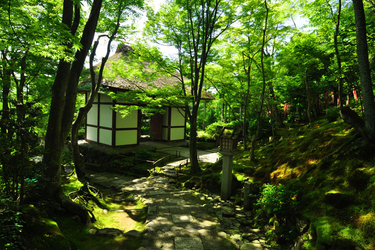 常寂光寺・新緑の仁王門