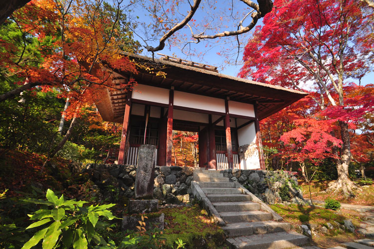 常寂光寺・仁王門