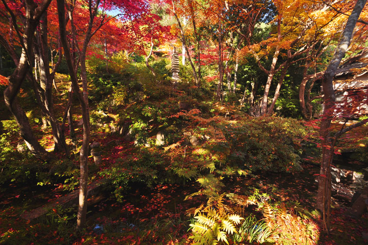 常寂光寺・庭園