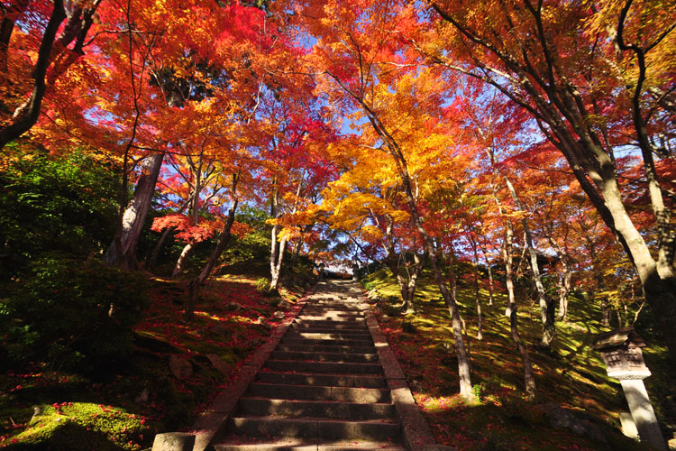 常寂光寺・紅葉