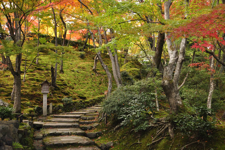 常寂光寺・紅葉