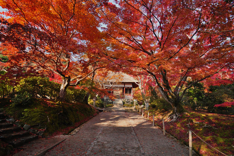 常寂光寺・仁王門