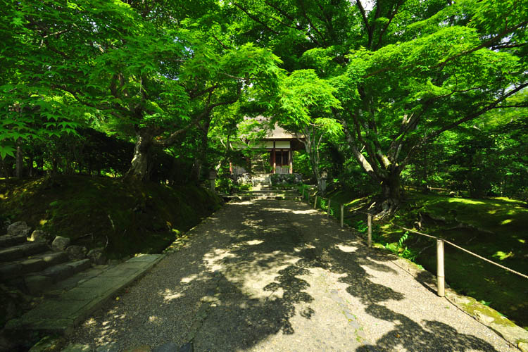 常寂光寺・仁王門