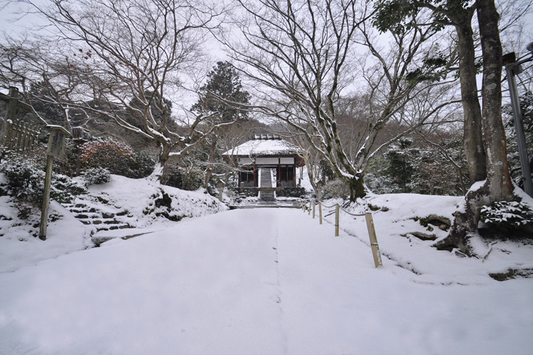 常寂光寺・仁王門