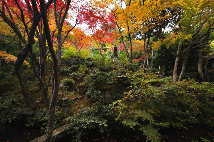 常寂光寺・庭園