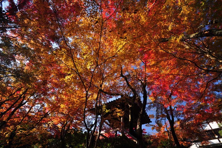 常寂光寺・鐘楼