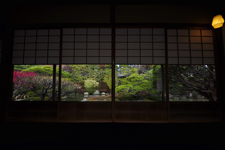 室町の庭・茶室