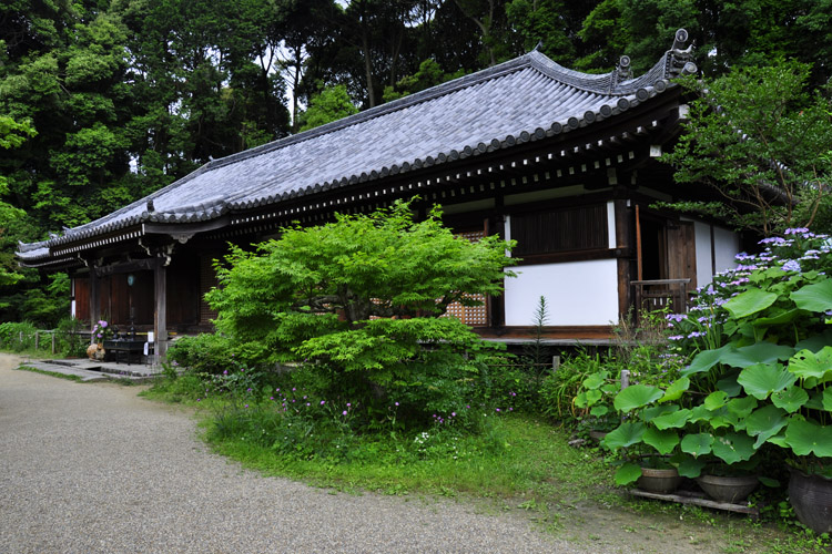 浄瑠璃寺(九体寺)・本堂