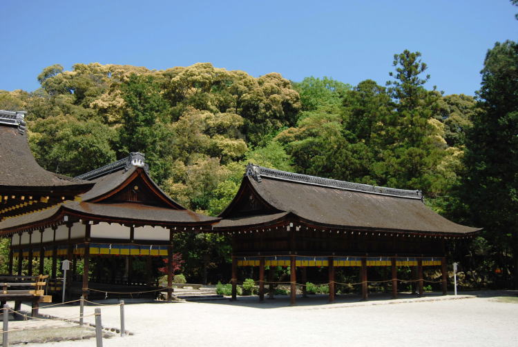 上賀茂神社・境内