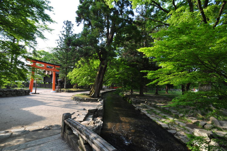 上賀茂神社・ならの小川