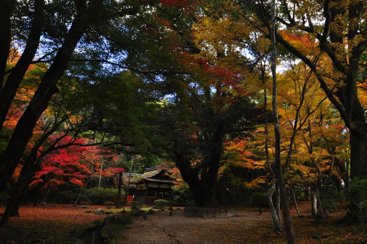 上賀茂神社・渉渓園