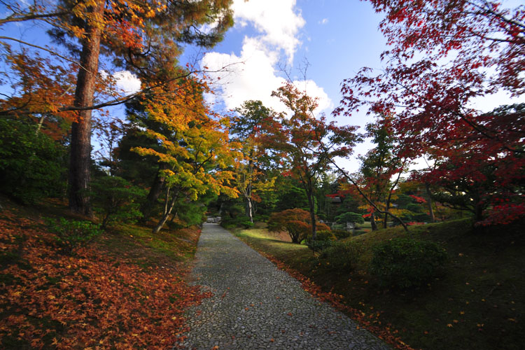 桂離宮・御幸道