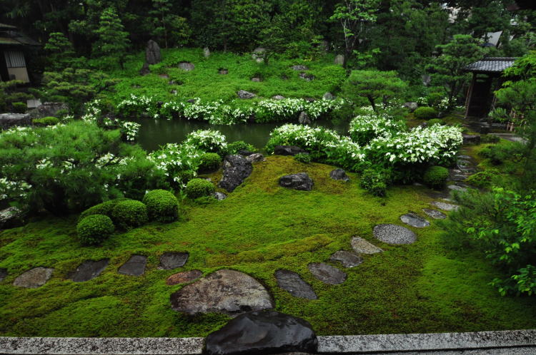 建仁寺・両足院