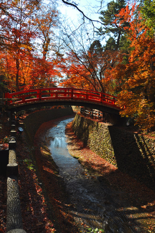 鶯橋・紅葉