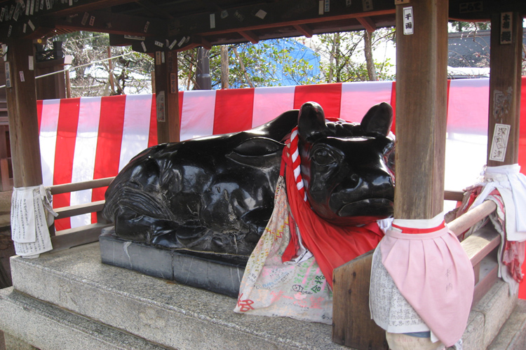 北野天満宮の牛