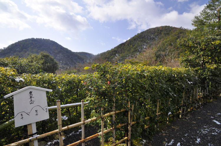 光悦寺・左、鷹が峯・右、鷲が峯