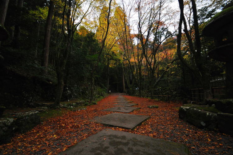 高山寺・境内