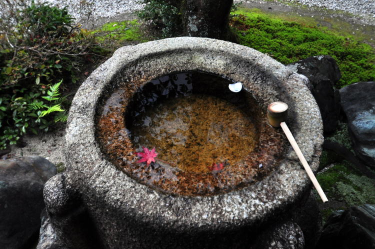 曼殊院・梟の手水鉢