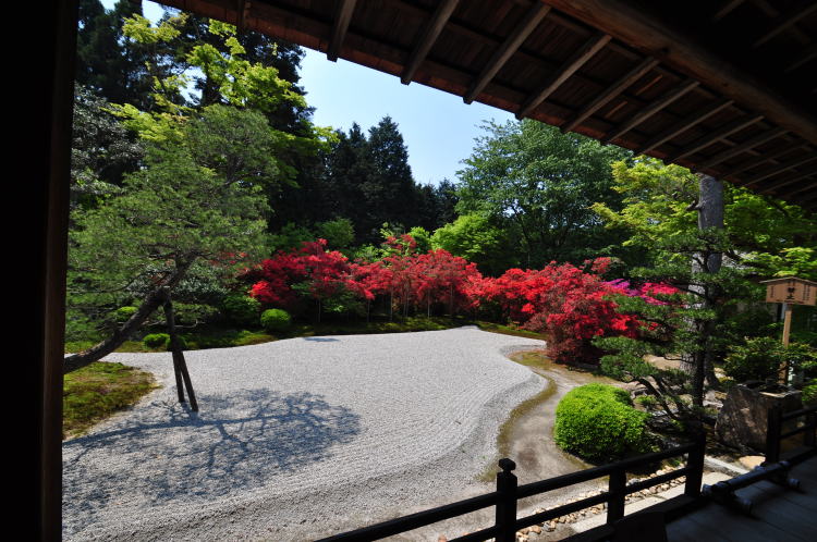 曼殊院・庭園