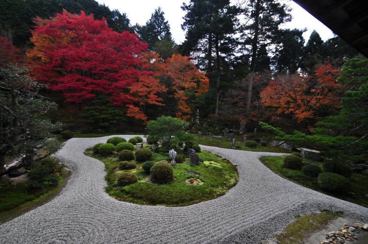 曼殊院・庭園