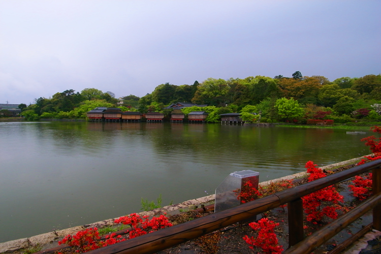 長岡天満宮八条が池