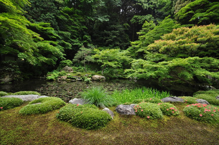 南禅院・庭園