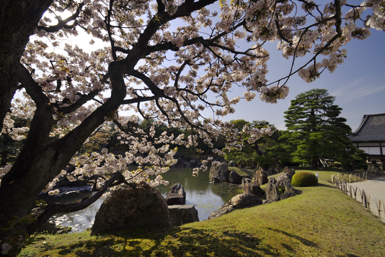 二条城・二の丸庭園