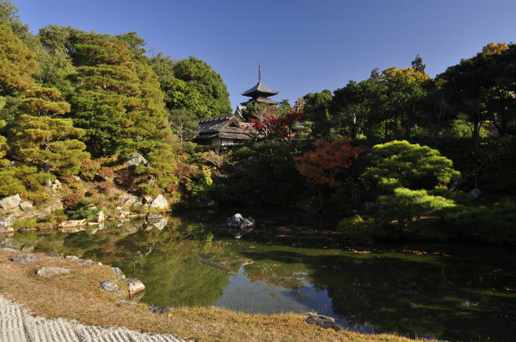 仁和寺・北庭