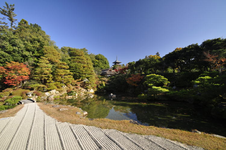 仁和寺・北庭