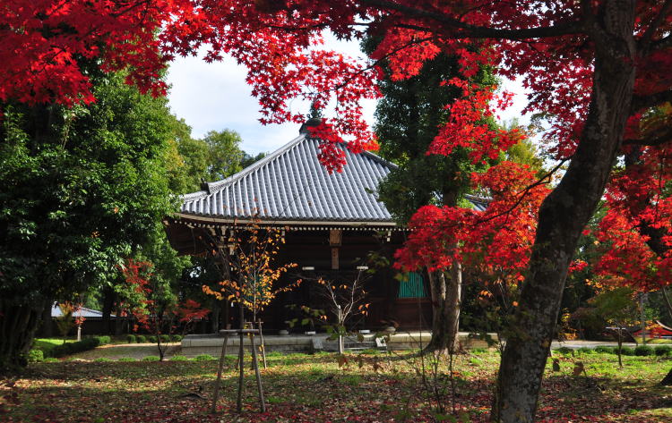 仁和寺・経蔵