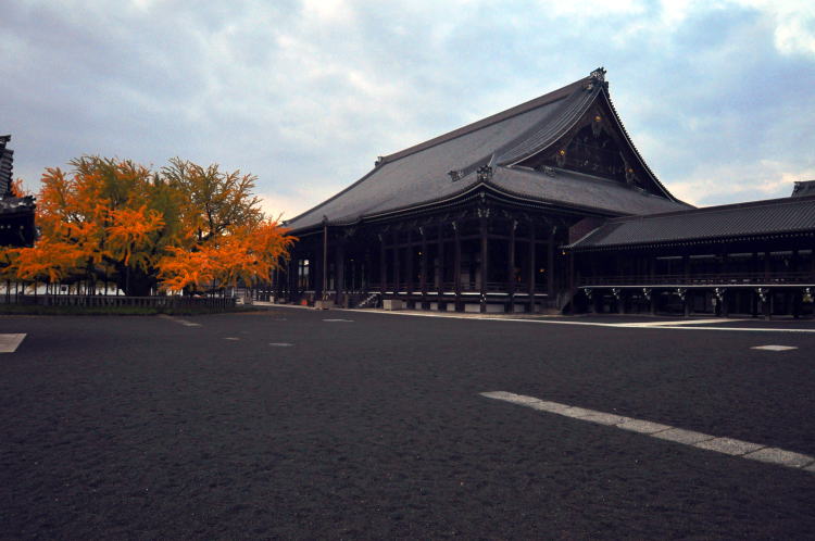 西本願寺・逆さいちょう