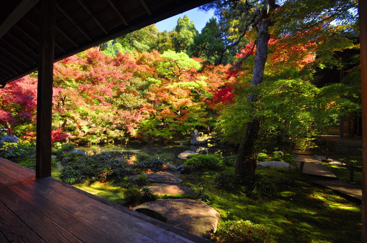 蓮華寺・庭園