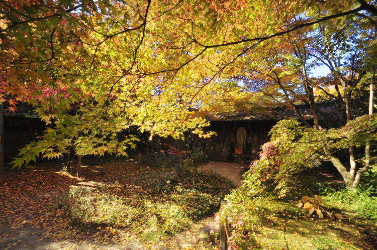 蓮華寺・石仏群