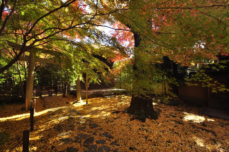 蓮華寺・境内