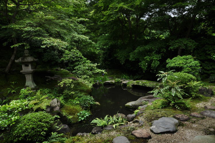 瑠璃光院・臥龍の庭