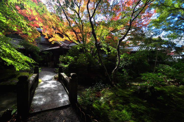 瑠璃光院・山露地の庭