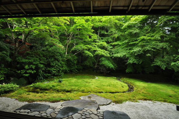 瑠璃光院・瑠璃庭