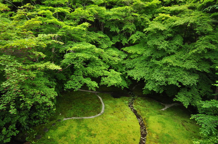 瑠璃光院・瑠璃庭